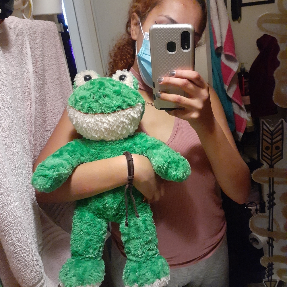 Build A bear Frog - Picture 2 of 2
